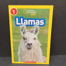 Load image into Gallery viewer, Llamas (National Geographic Kids Level 1) (Maya Myers) -educational reader
