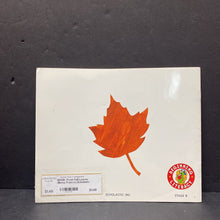 Load image into Gallery viewer, Fresh Fall Leaves (Betsy Franco) (Scholastic Beginning Literacy) -reader
