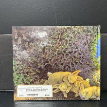 Load image into Gallery viewer, If You Were My Bunny (Kate McMullan) -hardcover
