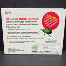 Load image into Gallery viewer, Beetles (The Real Thing) (Paige Araujo) -educational board
