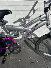 Load image into Gallery viewer, Archived on 2024-08-04 by SC for fulfilment
