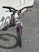 Load image into Gallery viewer, Archived on 2024-08-04 by SC for fulfilment
