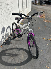 Load image into Gallery viewer, Archived on 2024-08-04 by SC for fulfilment
