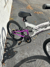 Load image into Gallery viewer, Archived on 2024-08-04 by SC for fulfilment
