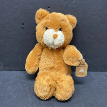 Load image into Gallery viewer, Eco Bear Plush (NEW)
