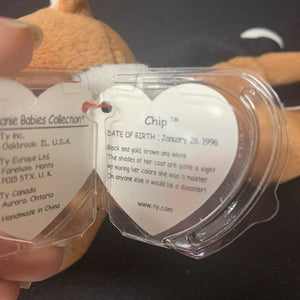 Chip the Cat Beanie Baby