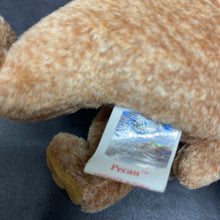 Load image into Gallery viewer, Pecan the Bear Beanie Baby
