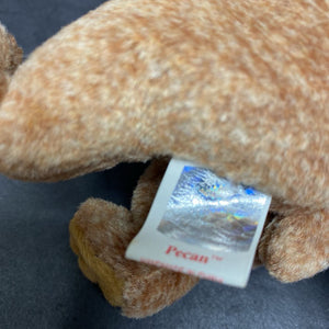 Pecan the Bear Beanie Baby