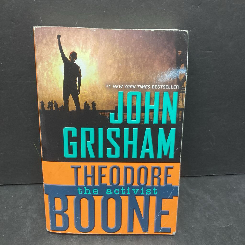 The Activist (Theodore Boone) (John Grisham) -paperback series