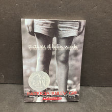 Load image into Gallery viewer, Pictures of Hollis Woods (Patricia Reilly Giff) -paperback series
