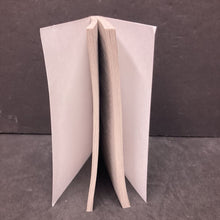 Load image into Gallery viewer, Pictures of Hollis Woods (Patricia Reilly Giff) -paperback series
