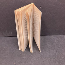 Load image into Gallery viewer, The New Kid at School (Dragon Slayers&#39; Academy) (K.H. McMullan) -paperback series
