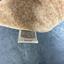 Load image into Gallery viewer, Pecan the Bear Beanie Baby

