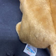 Load image into Gallery viewer, Tiny the Chihuahua Dog Beanie Baby
