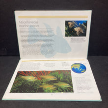 Load image into Gallery viewer, An Essential Guide to Choosing Your Marine Tropical Fish (Tankmaster) (Dick Mills) -hardcover educational
