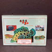 Load image into Gallery viewer, An Essential Guide to Choosing Your Marine Tropical Fish (Tankmaster) (Dick Mills) -hardcover educational
