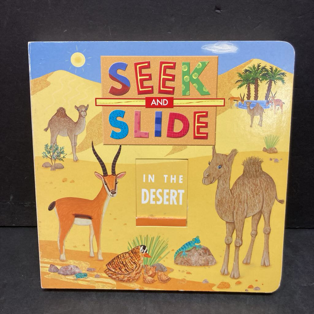 Seek and Slide In the Desert -board