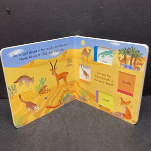 Seek and Slide In the Desert -board
