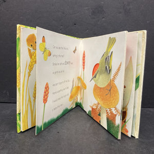 In The Forest (Maurice Pledger) -touch & feel board
