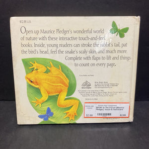 In The Forest (Maurice Pledger) -touch & feel board