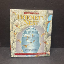 Load image into Gallery viewer, Hornets&#39; Nest (The Nature Company Watch It Grow) (Kate Scarborough) -hardcover educational
