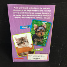 Load image into Gallery viewer, Puppies and Kittens 2 (Scholastic) (Marilyn Easton) -reader
