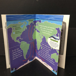 Whales (National Geographic Kids - Level 3) (Great Migrations) -educational reader