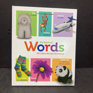 My Book of Words / Mi Libro de las Palabras (in Spanish) -hardcover educational