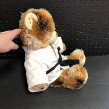 Load image into Gallery viewer, Karate Bear
