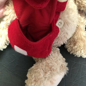 Bear Plush