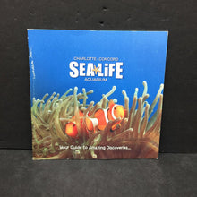 Load image into Gallery viewer, Sealife Aquarium: Your Guide to Amazing Discoveries -paperback educational
