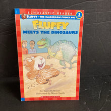 Load image into Gallery viewer, Fluffy Meets the Dinosaurs (Scholastic Reader Level 3) (Kate McMullan) -character reader
