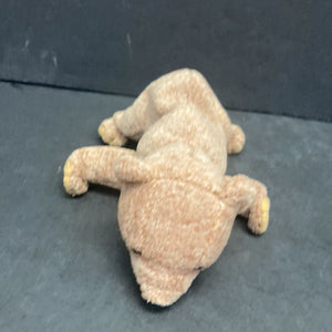 Pecan the Bear Beanie Baby