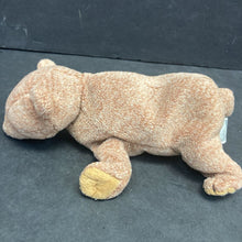 Load image into Gallery viewer, Pecan the Bear Beanie Baby
