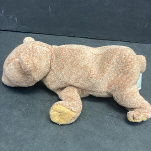Pecan the Bear Beanie Baby