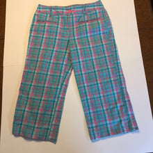 Load image into Gallery viewer, plaid carpris
