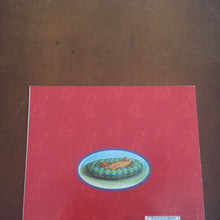 Load image into Gallery viewer, Muldoon (Pamela Duncan Edwards) - paperback
