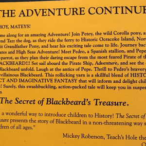 The Secret of Blackbeard's Treasure (Mary Maden) -paperback