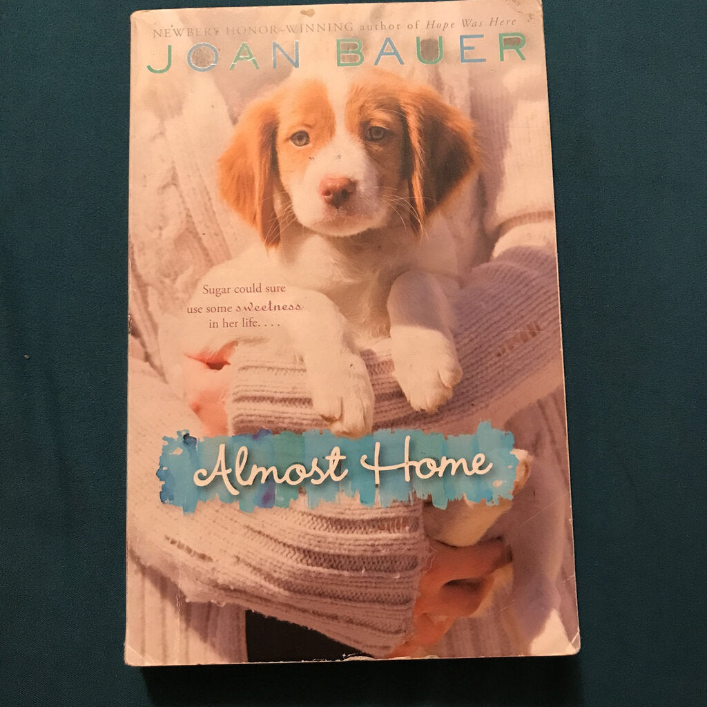 Almost Home (Joan Bauer) -chapter