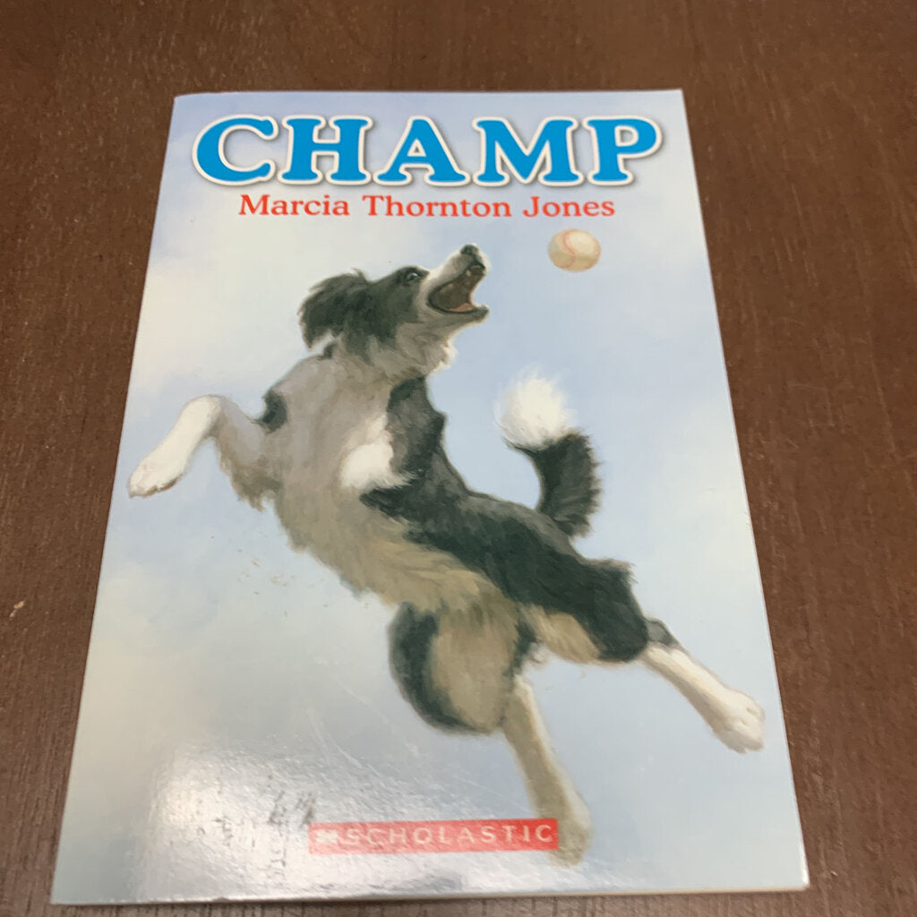 Champ (Marcia Thornton Jones) -chapter