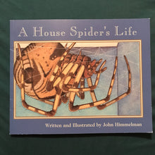 Load image into Gallery viewer, a house spider&#39;s life- paperback
