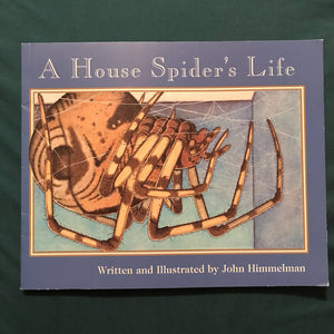 a house spider's life- paperback