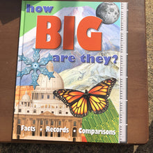 Load image into Gallery viewer, How Big Are They -educational
