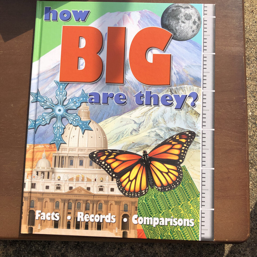 How Big Are They -educational
