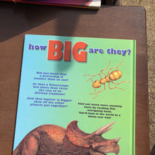 Load image into Gallery viewer, How Big Are They -educational
