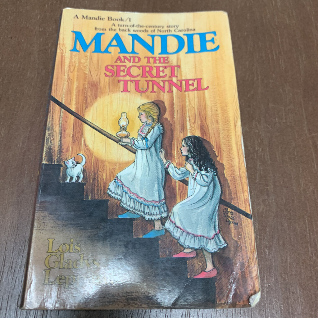 Mandie and the Secret Tunnel (Lois Gladys Leppard) -series