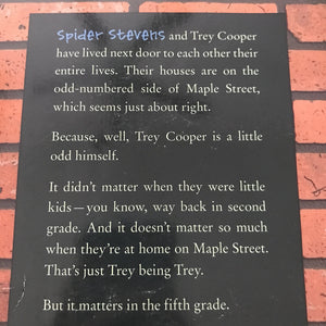 Along Came a Spider (James Preller) -chapter