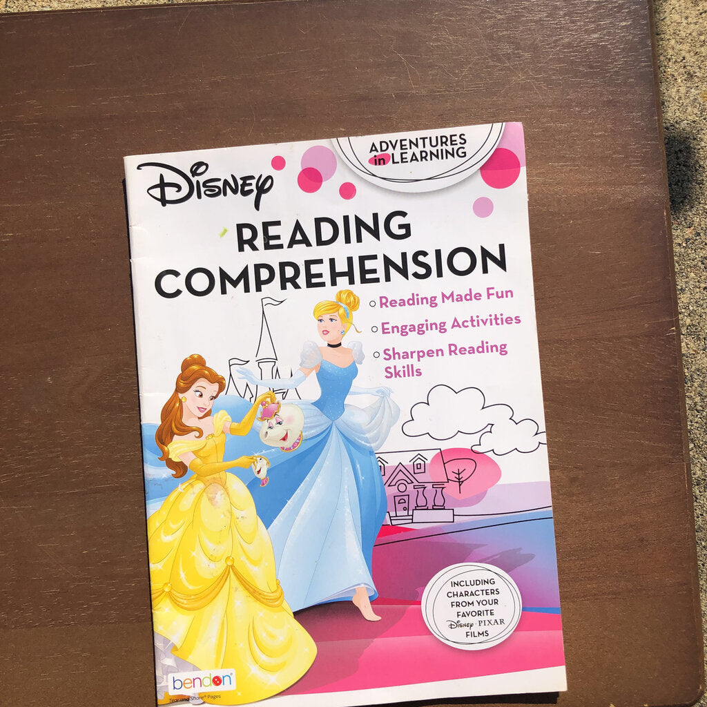 Princess Reading comprehension-Workbook
