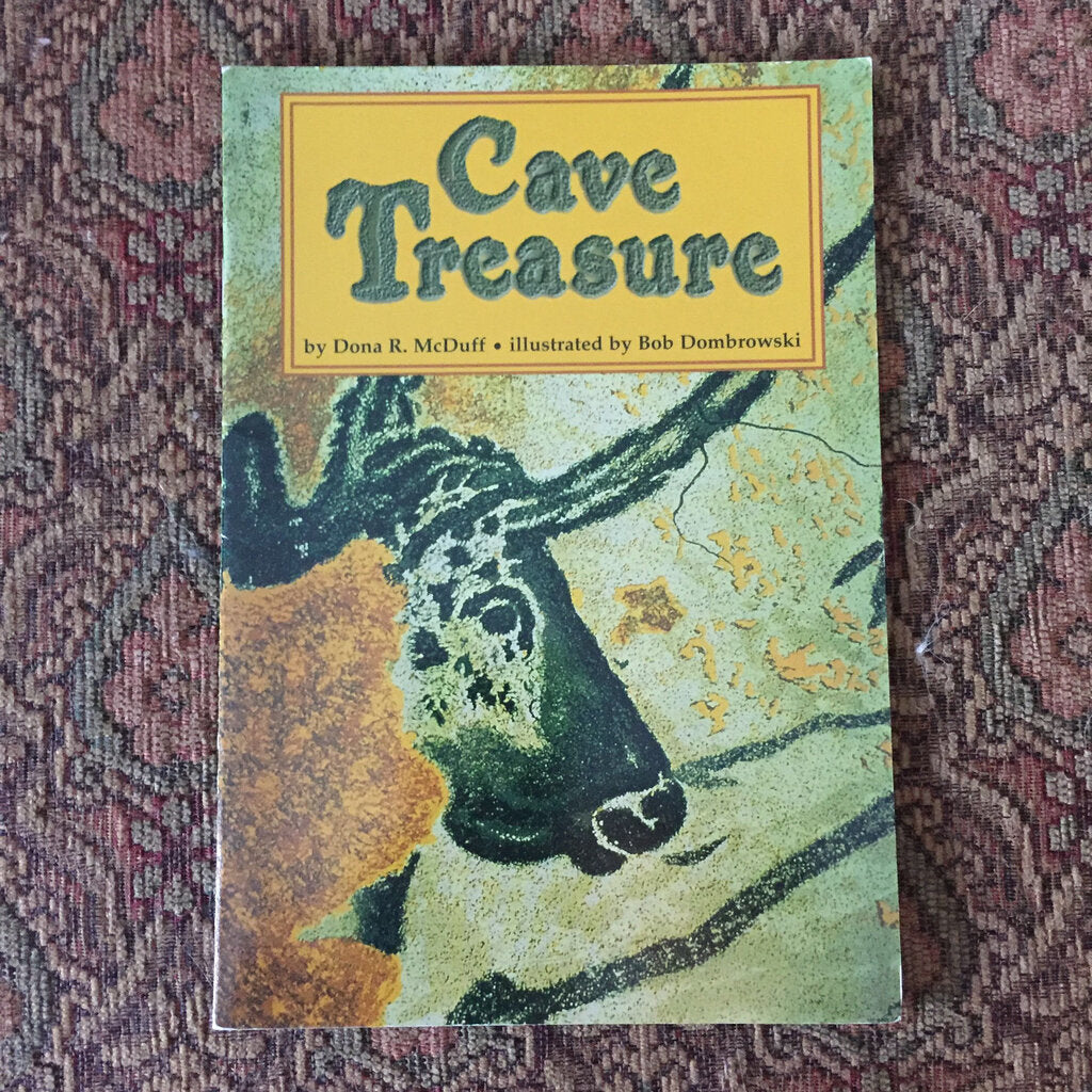 The Cave Treasure - reader