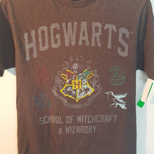 Load image into Gallery viewer, &quot;hogwarts&quot; t-shirt
